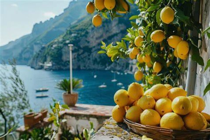 Are lemons from Italy?