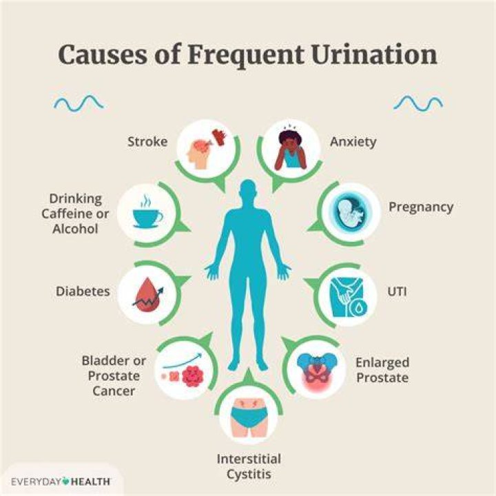 Can anxiety cause frequent urination at night?
