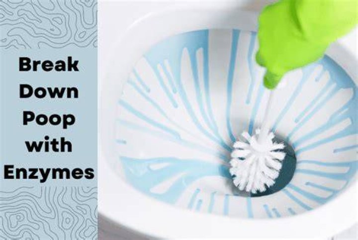 Can bleach break down poop?