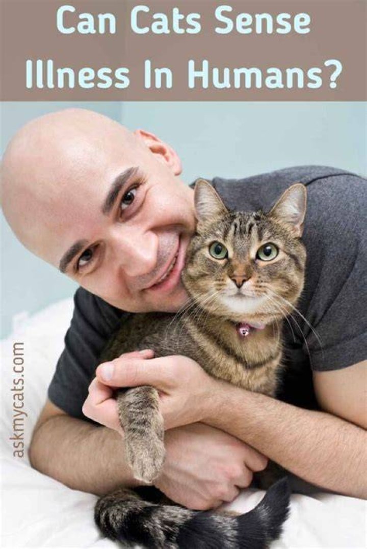 Can cats sense illness in humans?