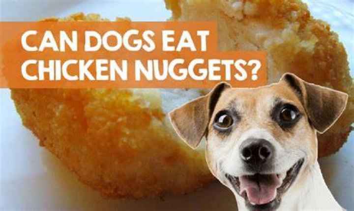 Can dogs have chicken nuggets?