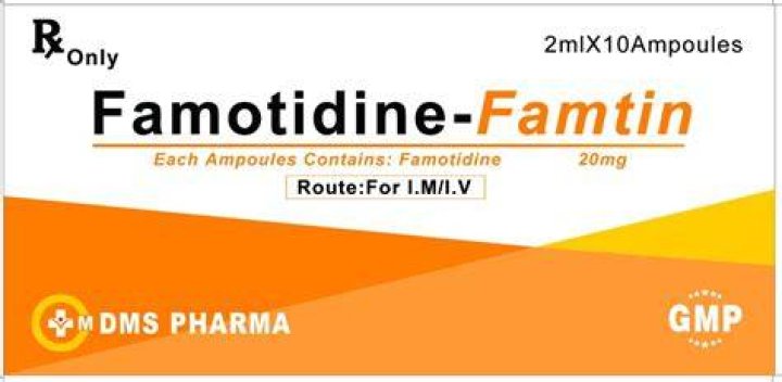 Can dogs take human famotidine?