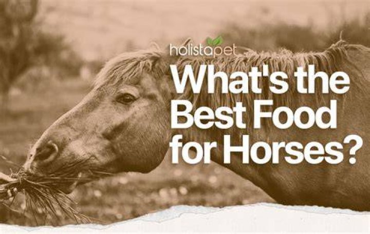 Can horses have yogurt?