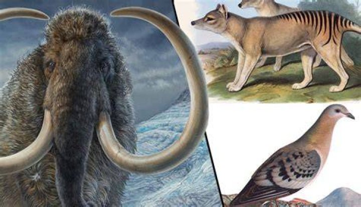 Can humans come back after extinction?