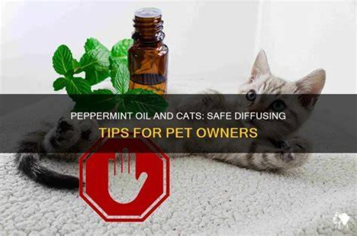 Can I diffuse peppermint around my cat?