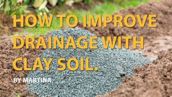 Can I dig clay soil when wet?