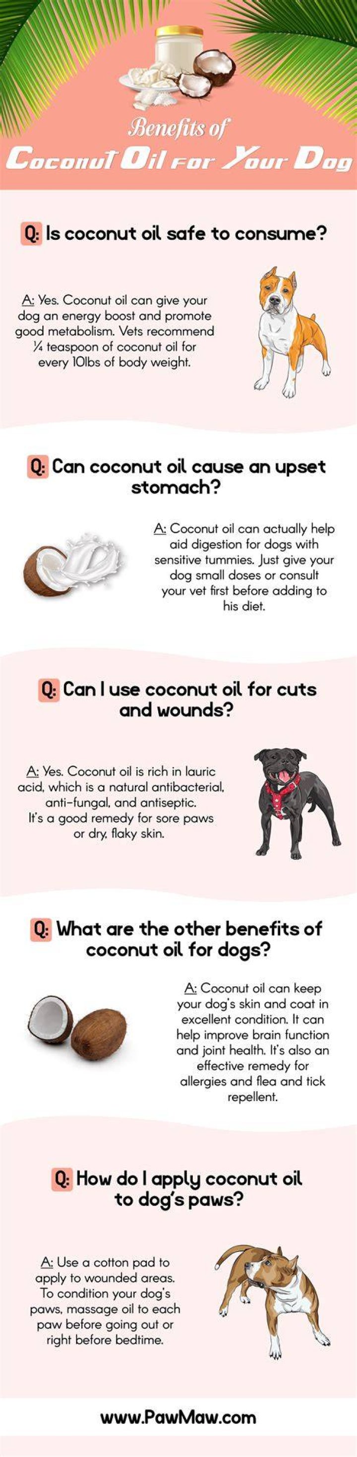 Can I put coconut oil on my dog's nose?