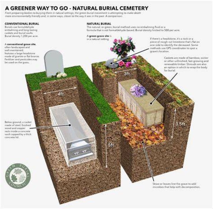 Can you bury a horse?