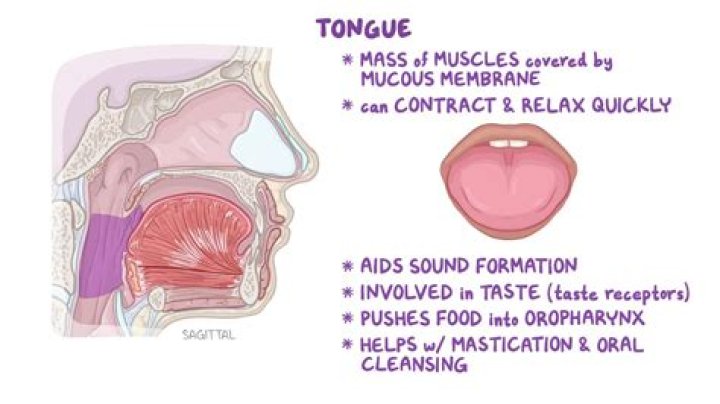 Can you get lie bumps from kissing?