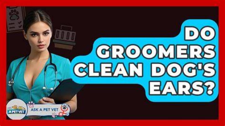 Do groomers clean inside dog's ears?