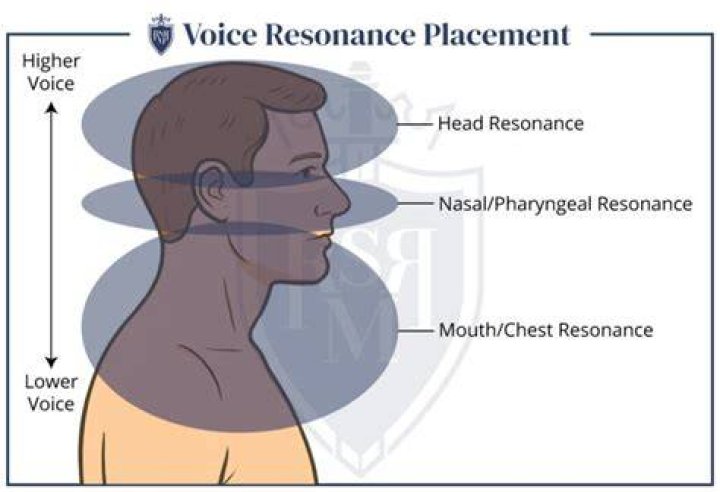 Do guys voices get higher when they like?