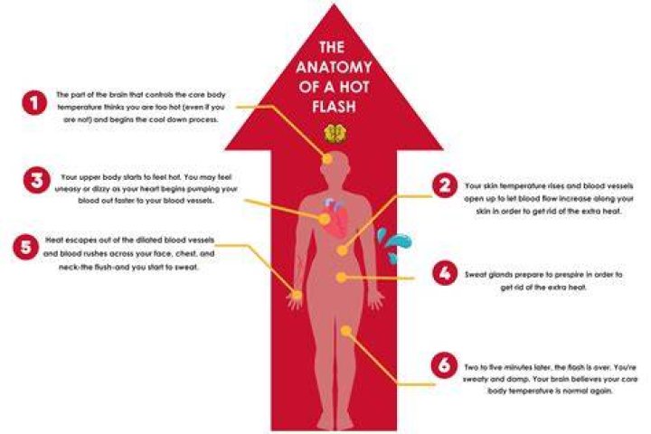 Do hot flashes affect the heart?