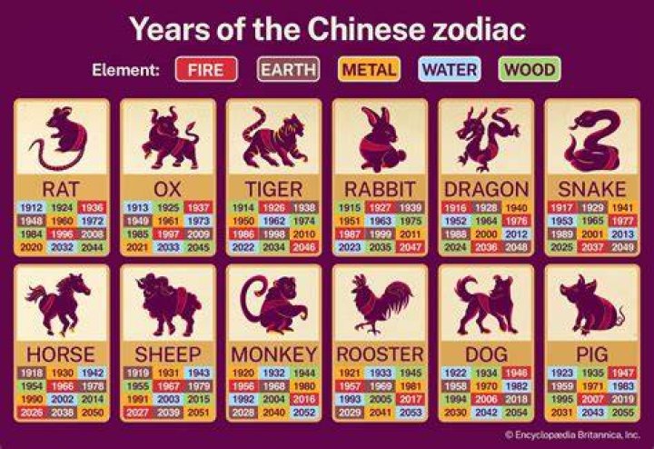 Do the Chinese skin animals alive?