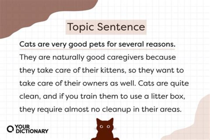 Do your best example sentence?