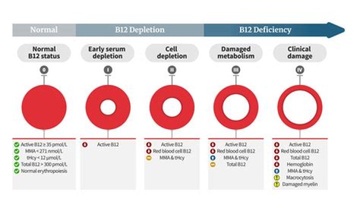 Does B12 affect thyroid levels?
