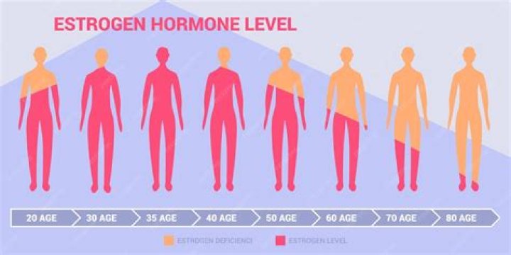 Does estrogen make your hips wider?