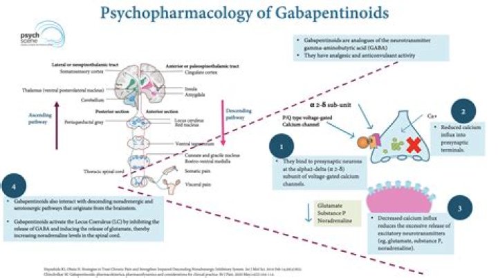 Does gabapentin work for fibromyalgia?