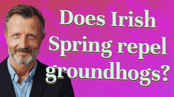 Does Irish Spring repel groundhogs?