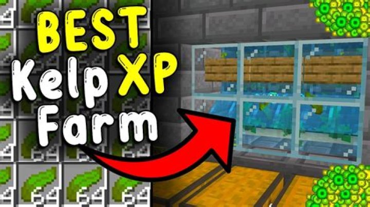 Does kelp give XP?