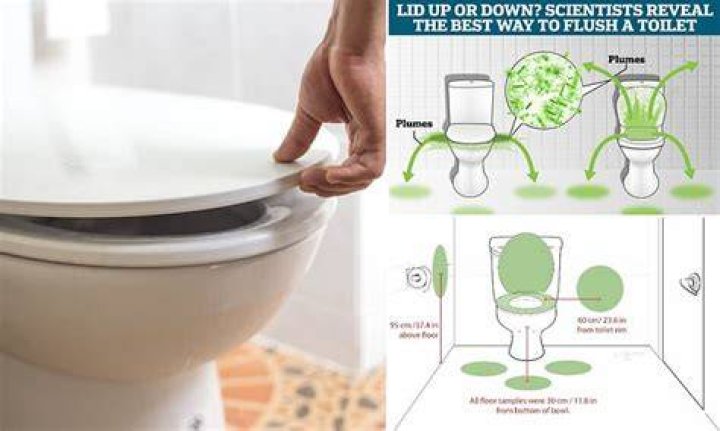 Does leaving the toilet seat up spread germs?
