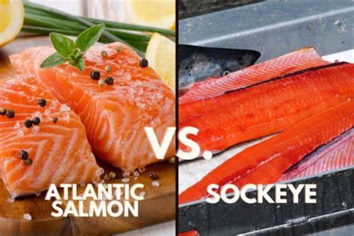 Does Norwegian salmon taste different?