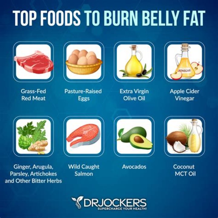 Does protein burn belly fat?