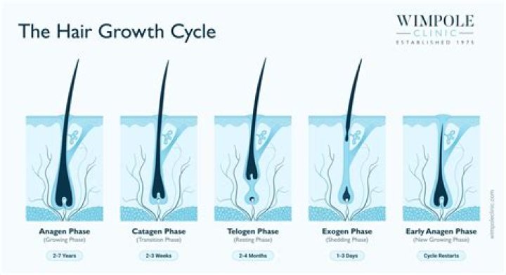 Does the hair on your legs grow faster when you are pregnant?