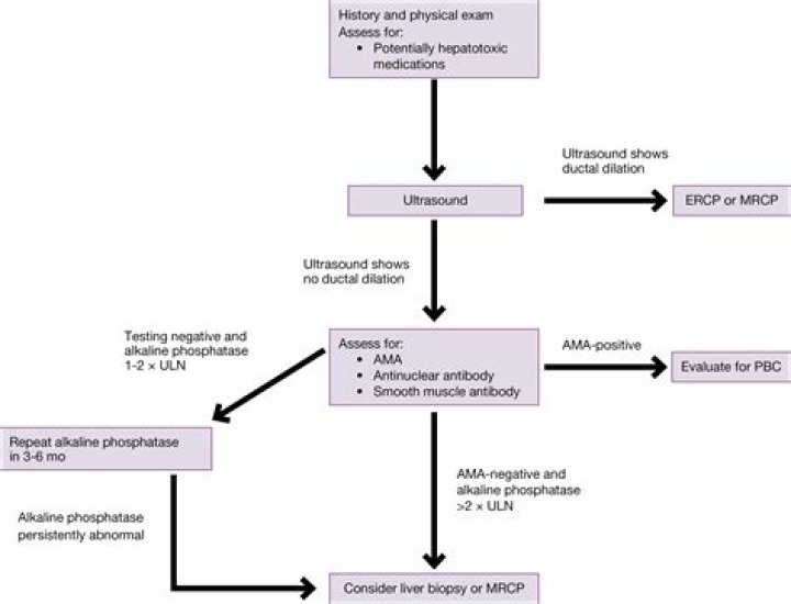 How can I lower my liver alkaline phosphatase?