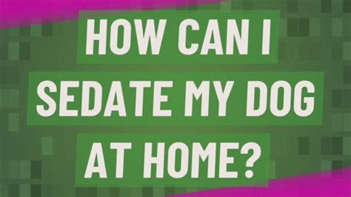How can I sedate my dog at home?