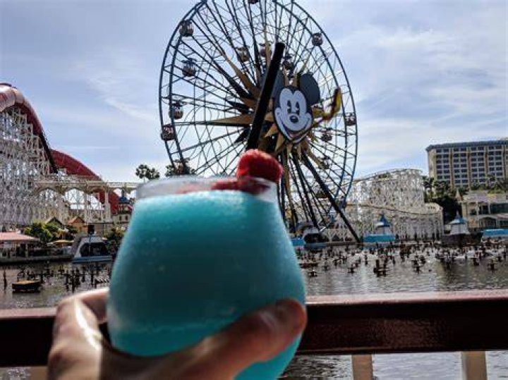 How can I sneak alcohol into Disney World?