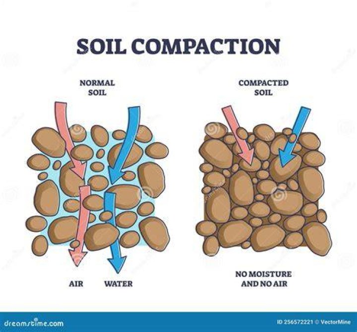 How do I know if my soil is compacted?