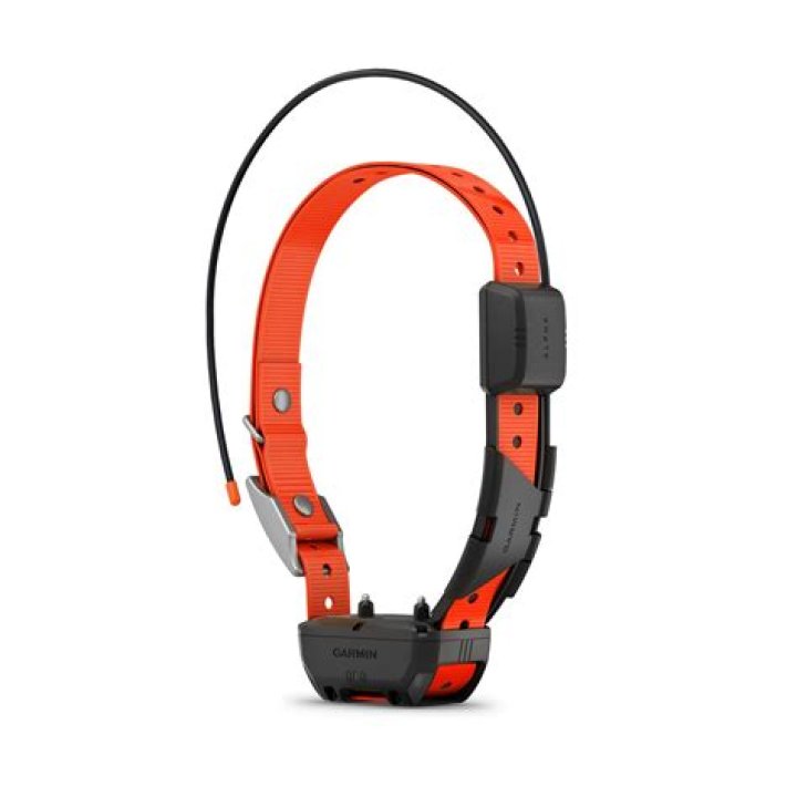 How do I update my dog's Garmin tracking collar?