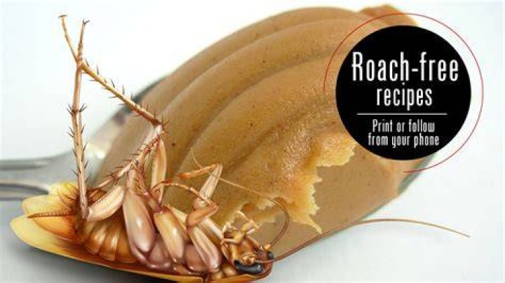 How do you make peanut butter roach bait?