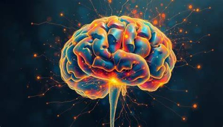 How does aluminum enter the brain?