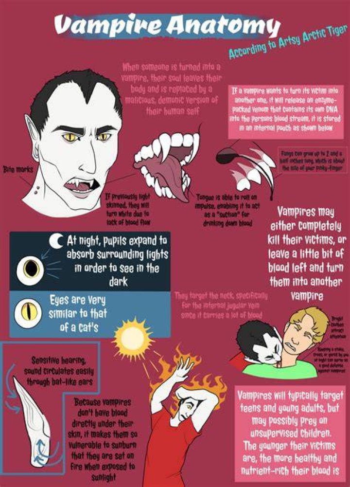 How does vampire look like?
