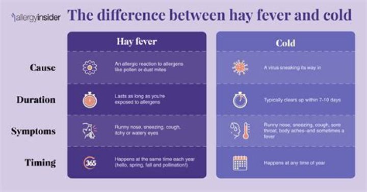 How long does hay stay good for?