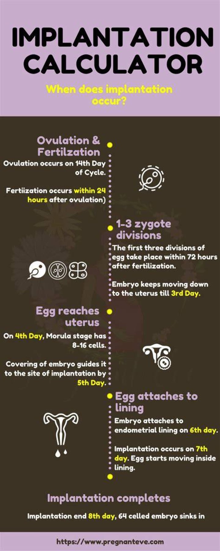How long does implantation take to complete?
