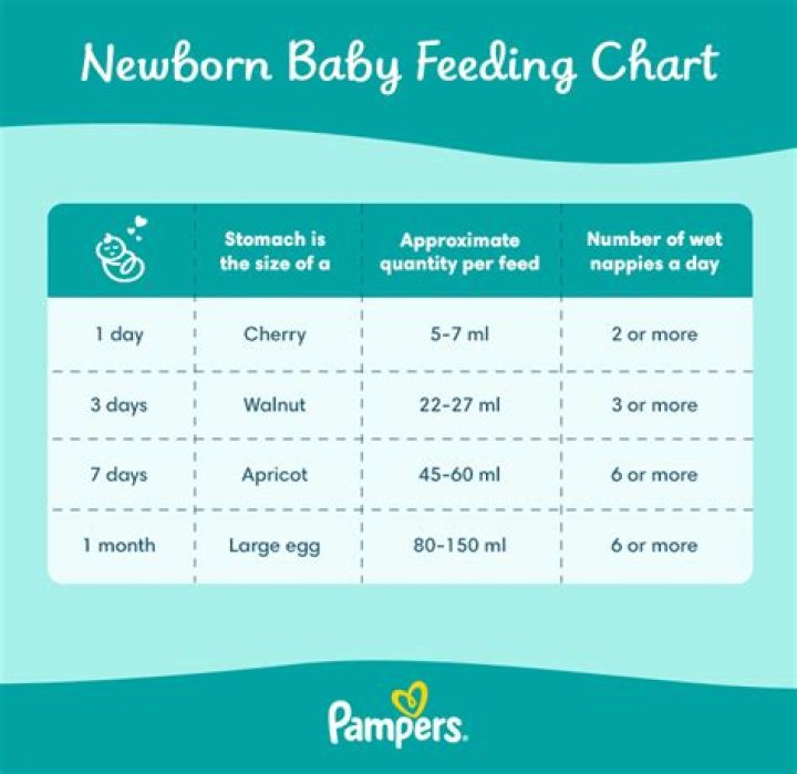 How long should each newborn feed last?
