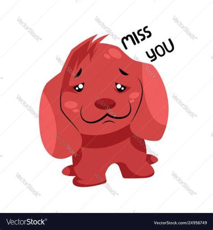 How long will a dog miss you?