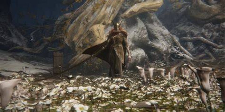 How many attempts does it take to beat Malenia?