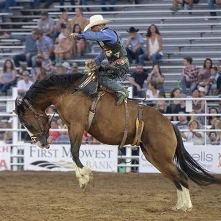 How many days a week should I ride my horse?