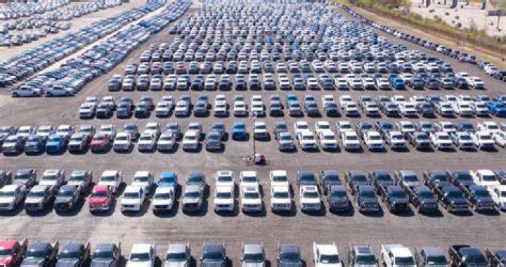 How many Ford vehicles are waiting for chips?