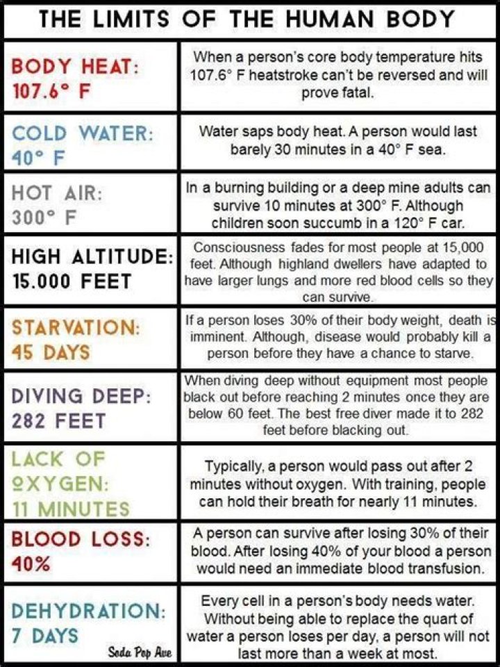 How many Gs can you survive?