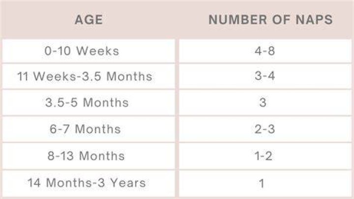 How many naps should a toddler have?