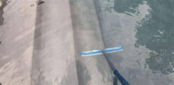 How often should you brush a pool?