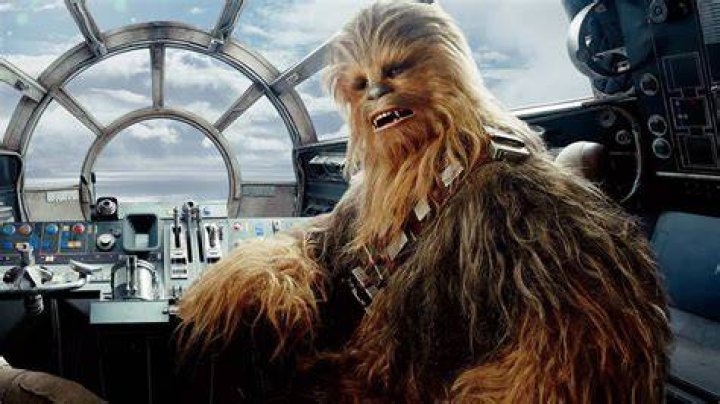 How old is Chewbacca in human years?