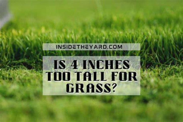 Is 4 inches too tall for grass?