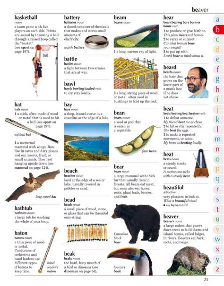 Is a bear a noun?