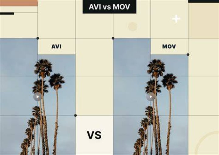 Is AVI the best video format?