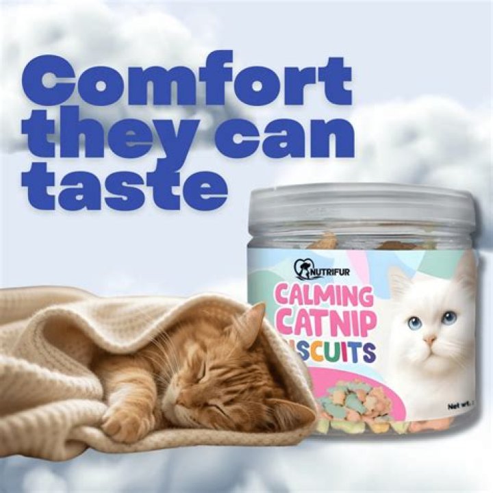 Is catnip calming for dogs?